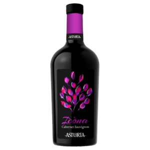 icona-cabernet-sauvignon-venezia-doc-astoria-vino-tinto