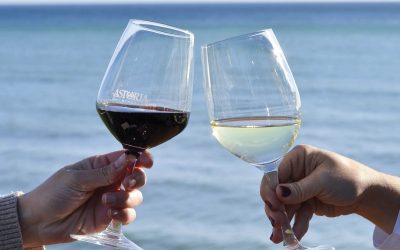 ¿Qué copa es mejor para cada vino?
